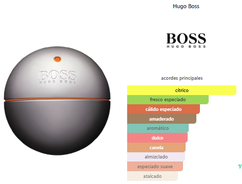 Hugo Boss In Motion