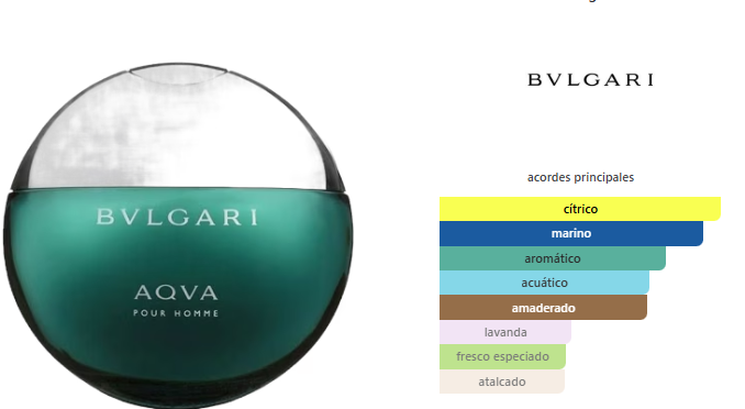Bvlgari Aqva Pour Homme EDT 100ml
