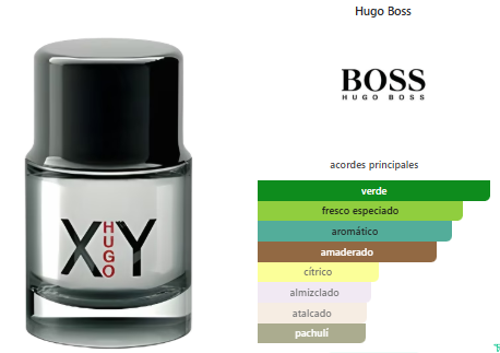 Hugo Boss XY